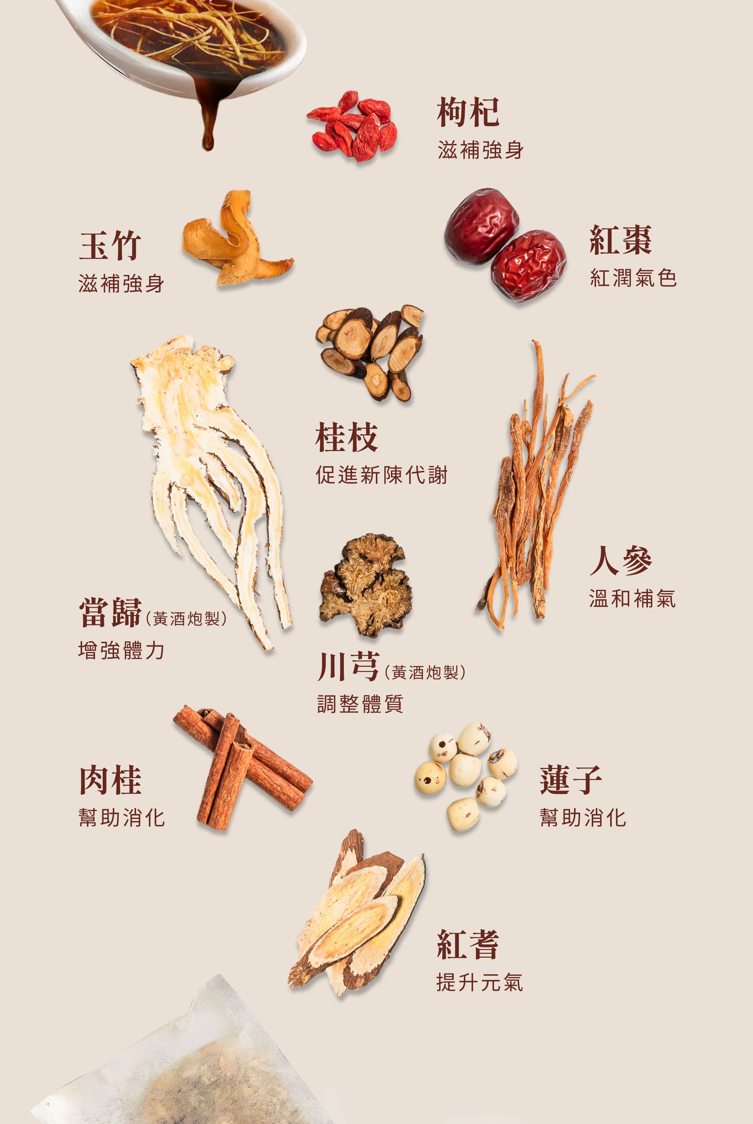 登義人參雞藥膳包原料