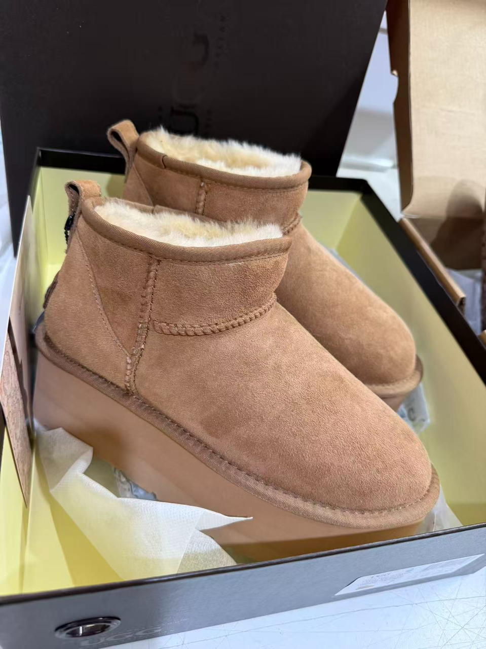 UGG 厚底mini 5cm (Australian Sheppard)