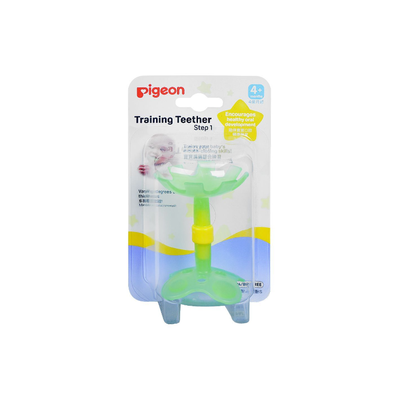 Pigeon | Training Teether Step 1 (4+ Months)