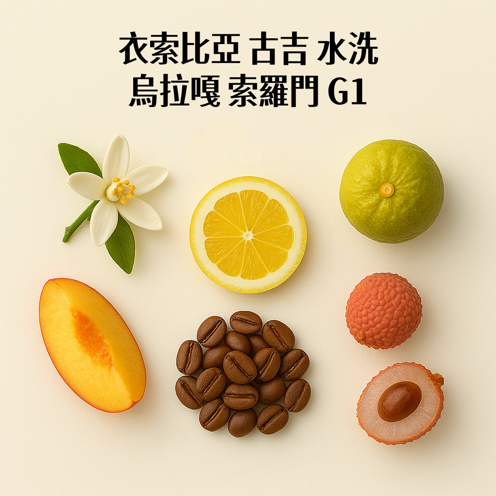 衣索比亞 古吉 烏拉嘎 索羅門 水洗G1