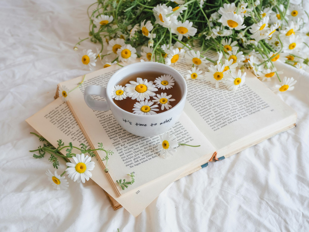 元晴選物視覺示意：自然餐桌與健康食材