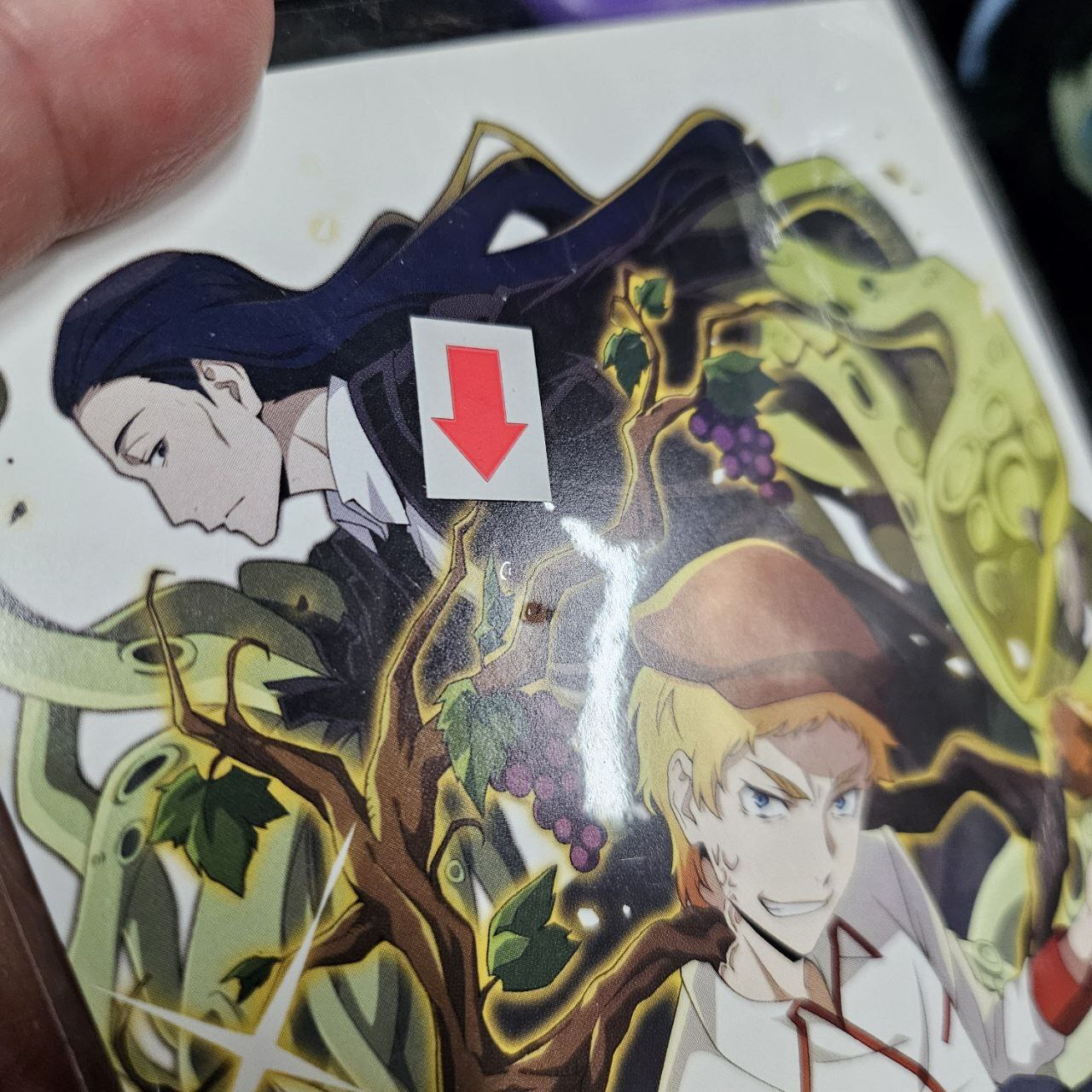 文豪野犬   明信片 瑕#331