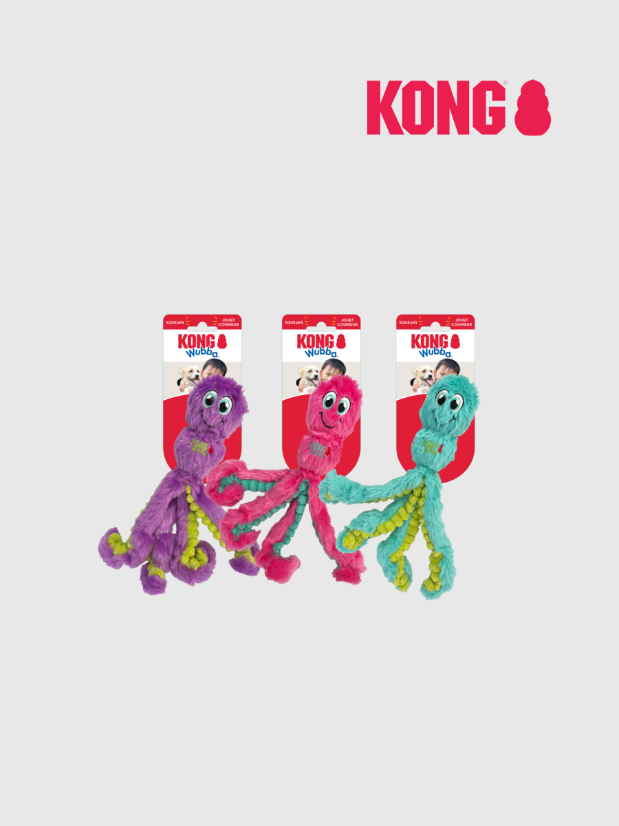 【KONG】舞吧海洋 章魚