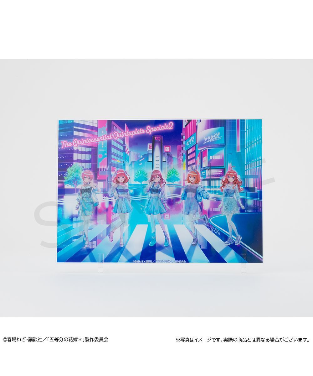 預購-「五等分的新娘＊」A5壓克力板【日本進口精品】