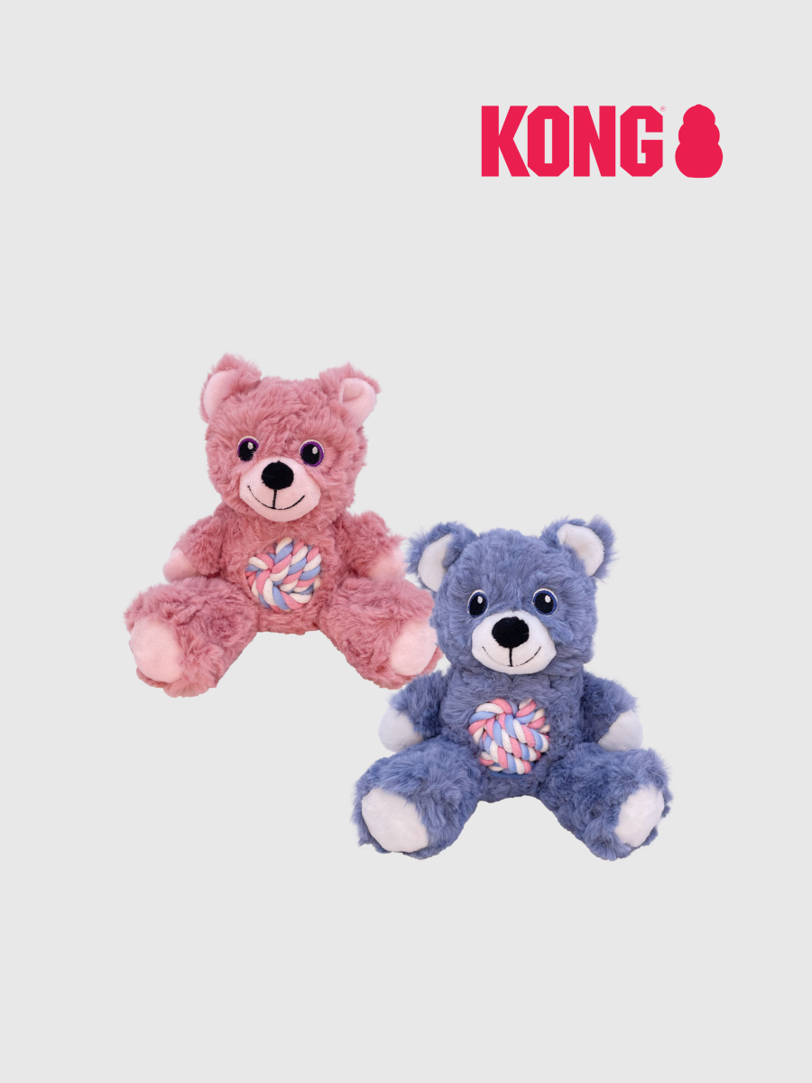 【KONG】繩結粉彩泰迪熊 Sm