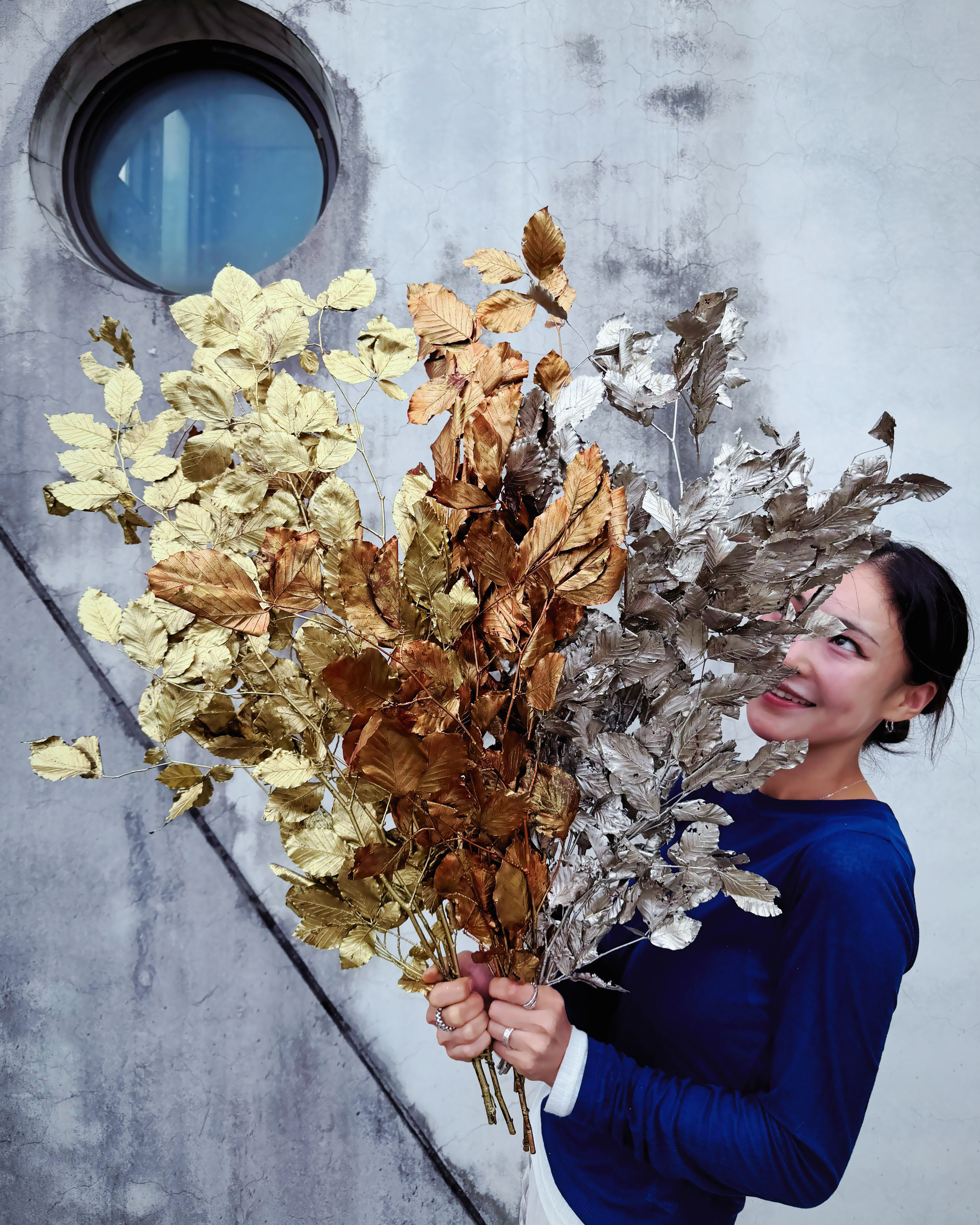 【金】不凋山毛櫸（義大利）