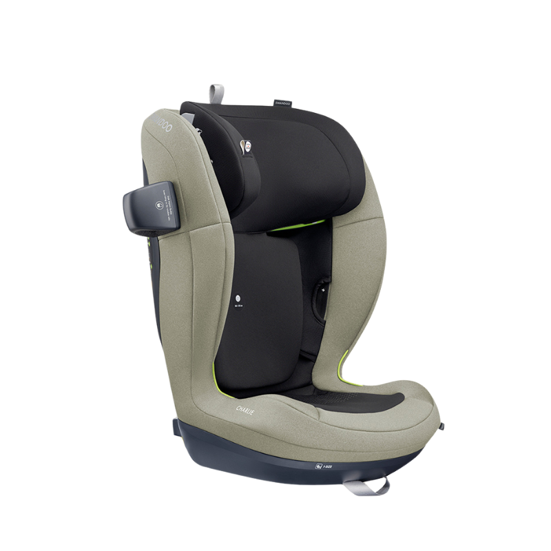 Swandoo - Charlie i-Size 增高型兒童安全座椅 (R129 & CCC 安全標準)(適合約3-12歲/身高100-150cm) (鼠尾草綠)