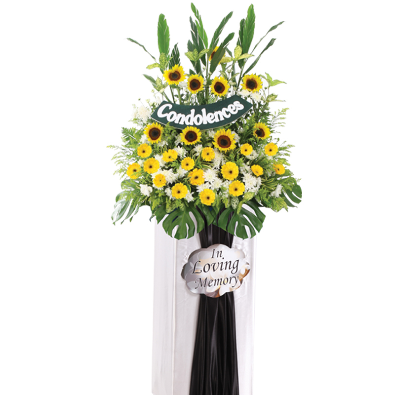 H177 ⭐⭐⭐⭐⭐member discount