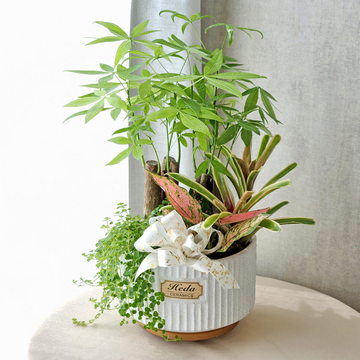 PD113｜觀葉植物組合盆栽