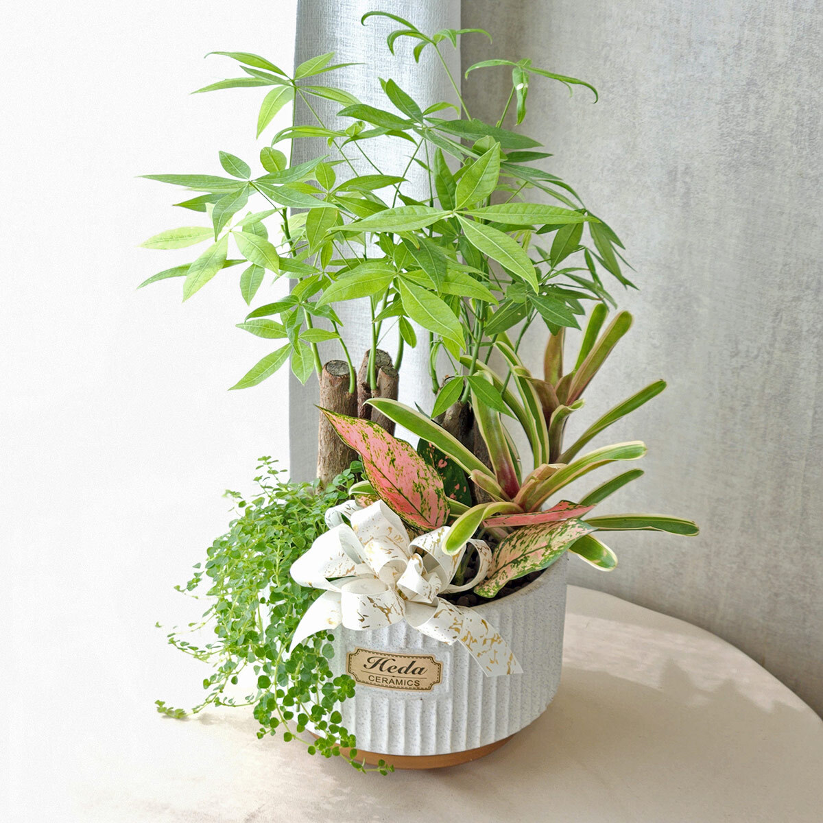 PD113｜觀葉植物組合盆栽