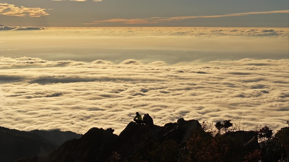 抵達鳶嘴山主峰後，向東可眺望壯闊的雪山山脈，向西則能遠望大甲溪谷，晴朗時雲霧翻湧，整片山海彷彿漂浮在腳下。