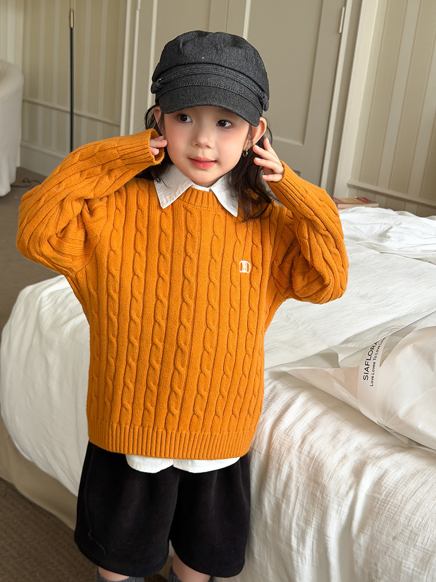 冬日氛圍感麻花針織上衣