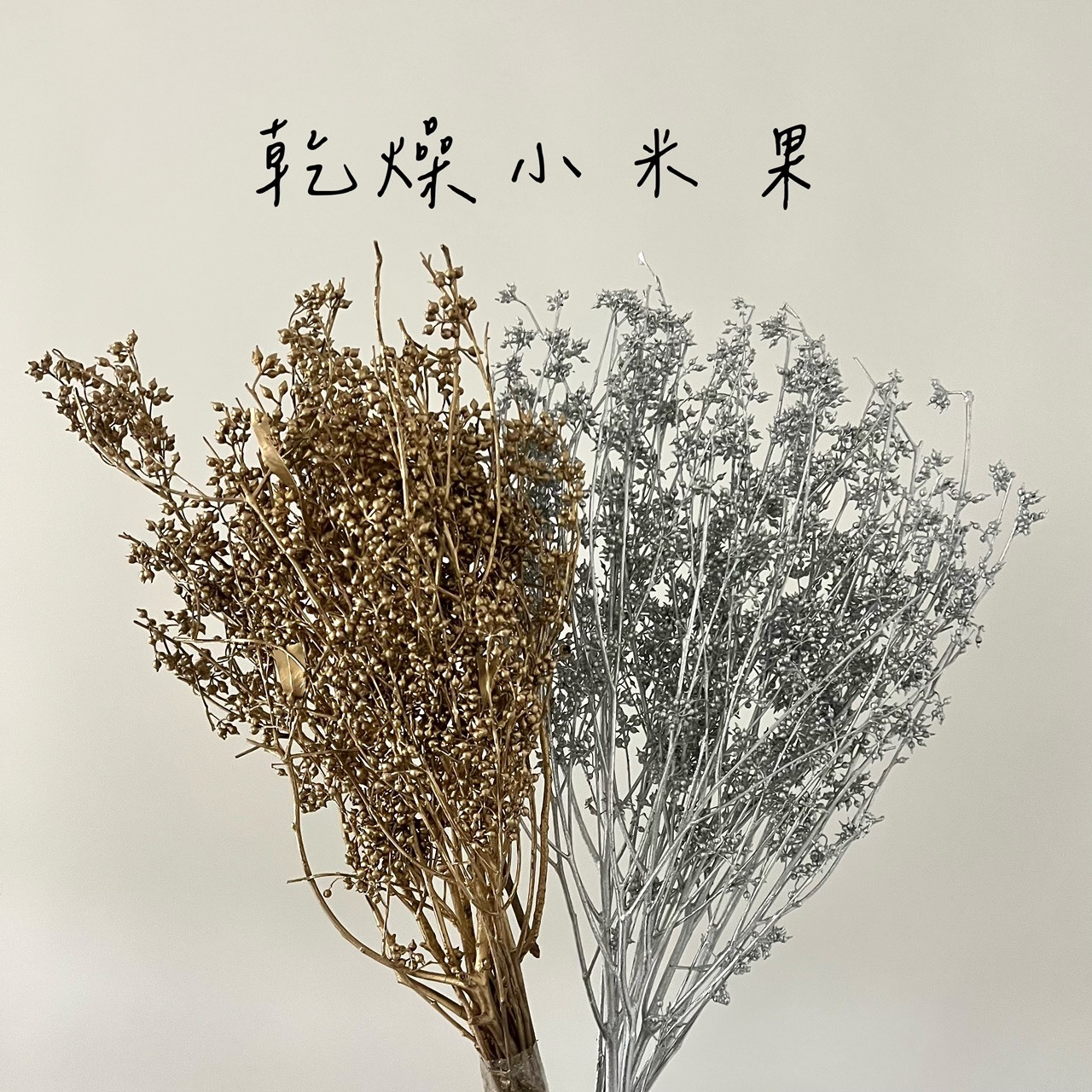 乾燥小米果(尤加利果)