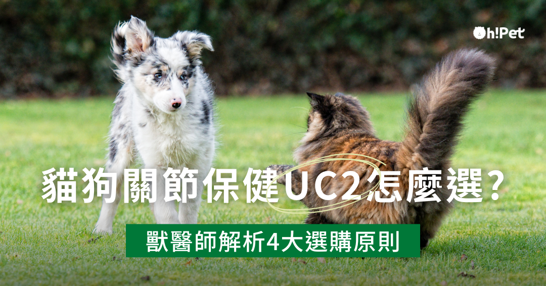 寵物uc2怎麼選