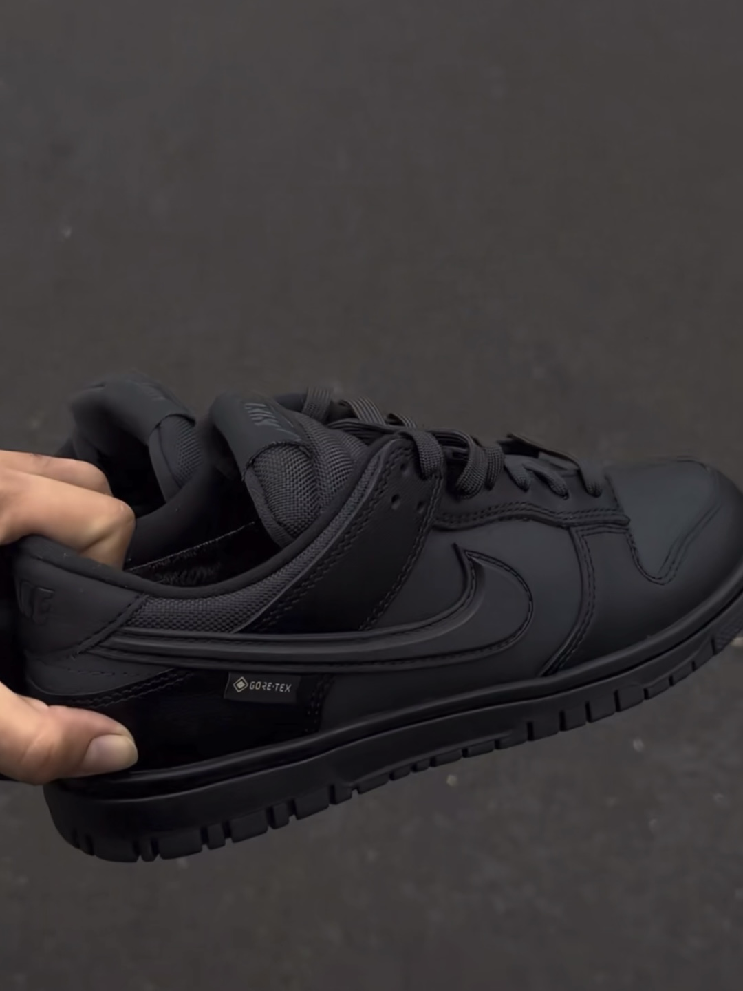 Nike Dunk Low Gore-Tex 防水 黑魂 黑 HQ2053-001