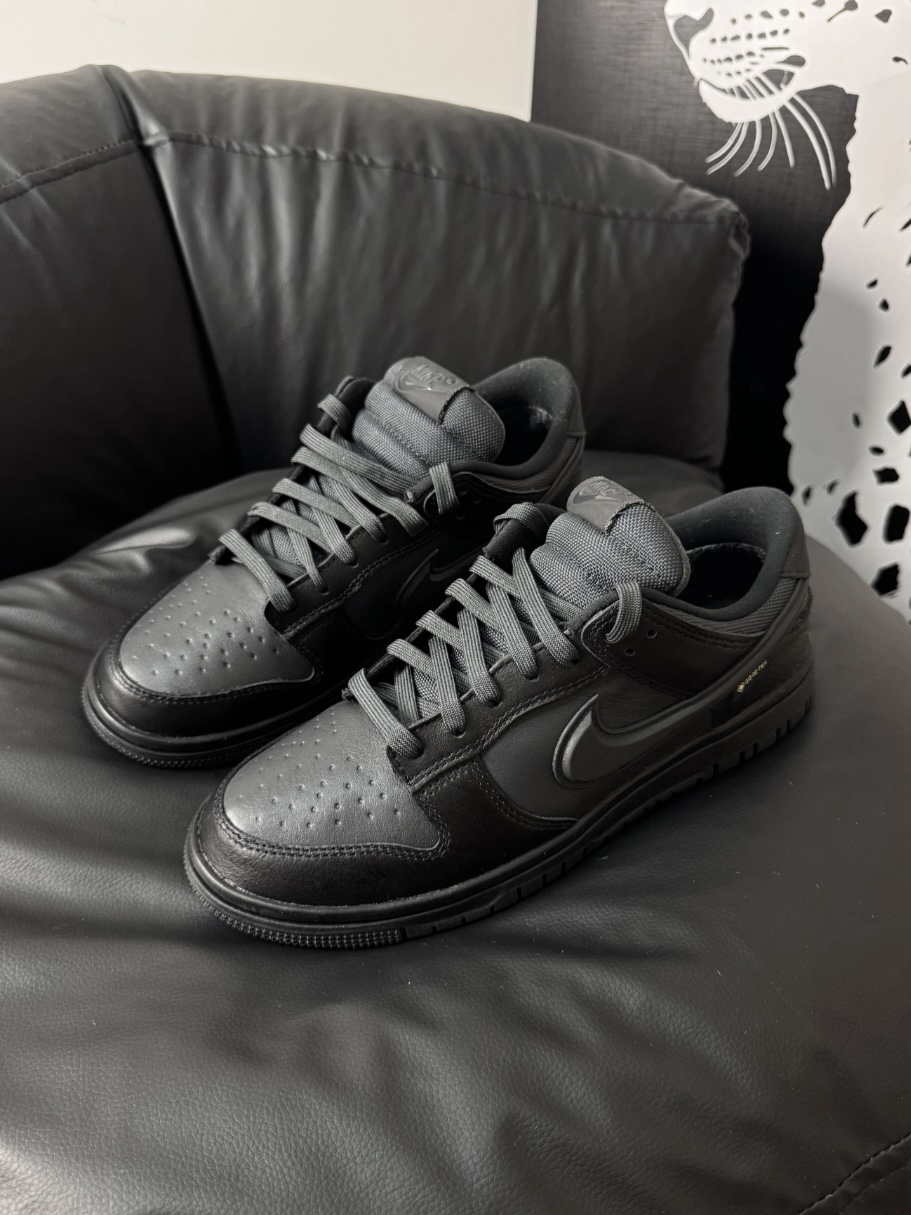 Nike Dunk Low Gore-Tex 防水 黑魂 黑 HQ2053-001