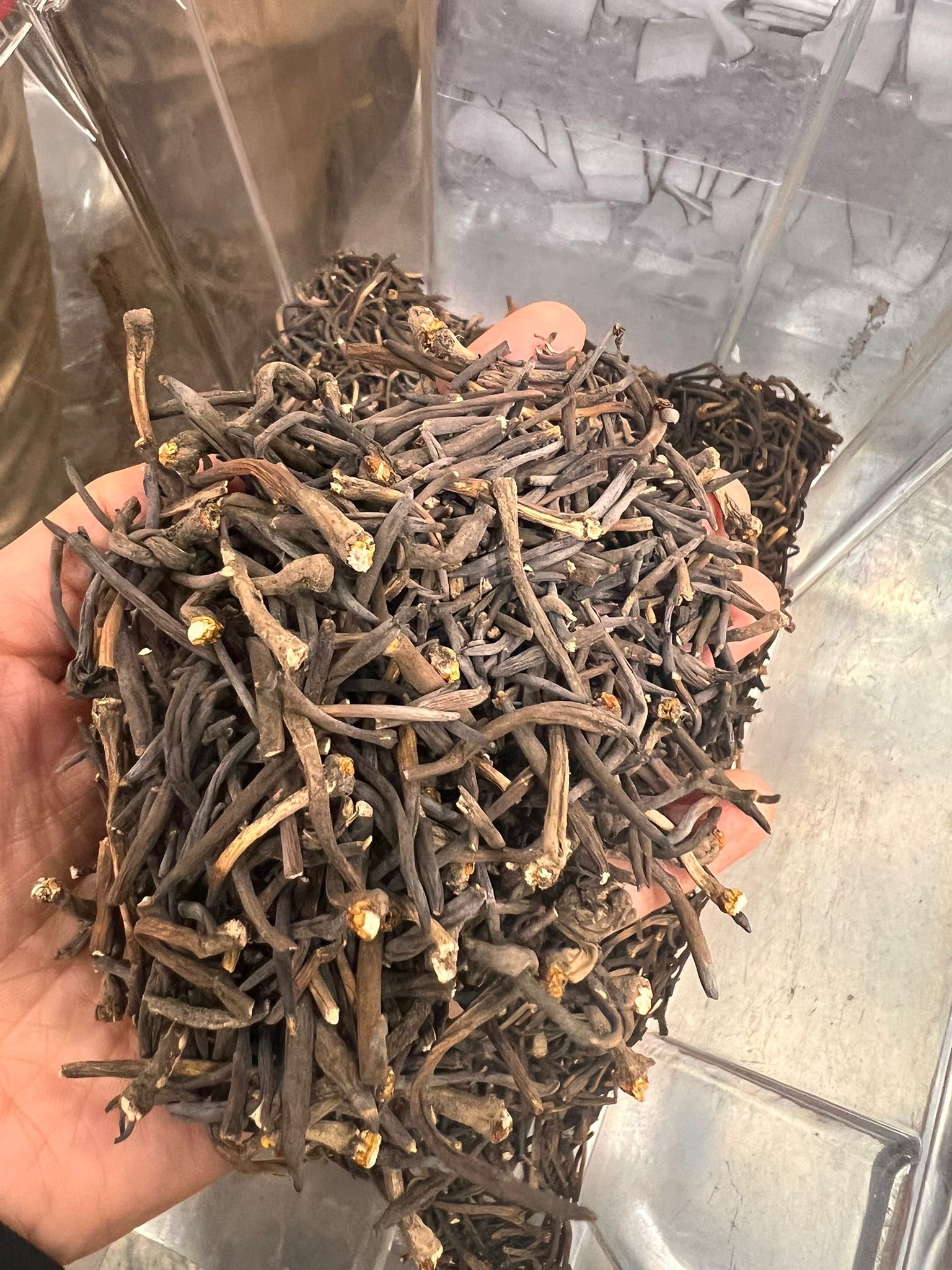 H20354 補氣養身之選｜蟲草尾✨