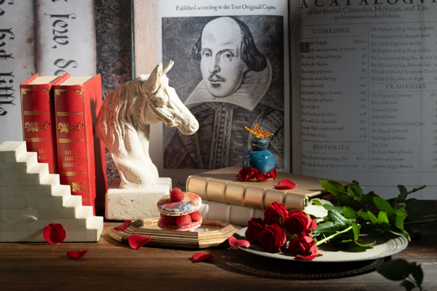 El.Olor × alice + olivia 聯名系列