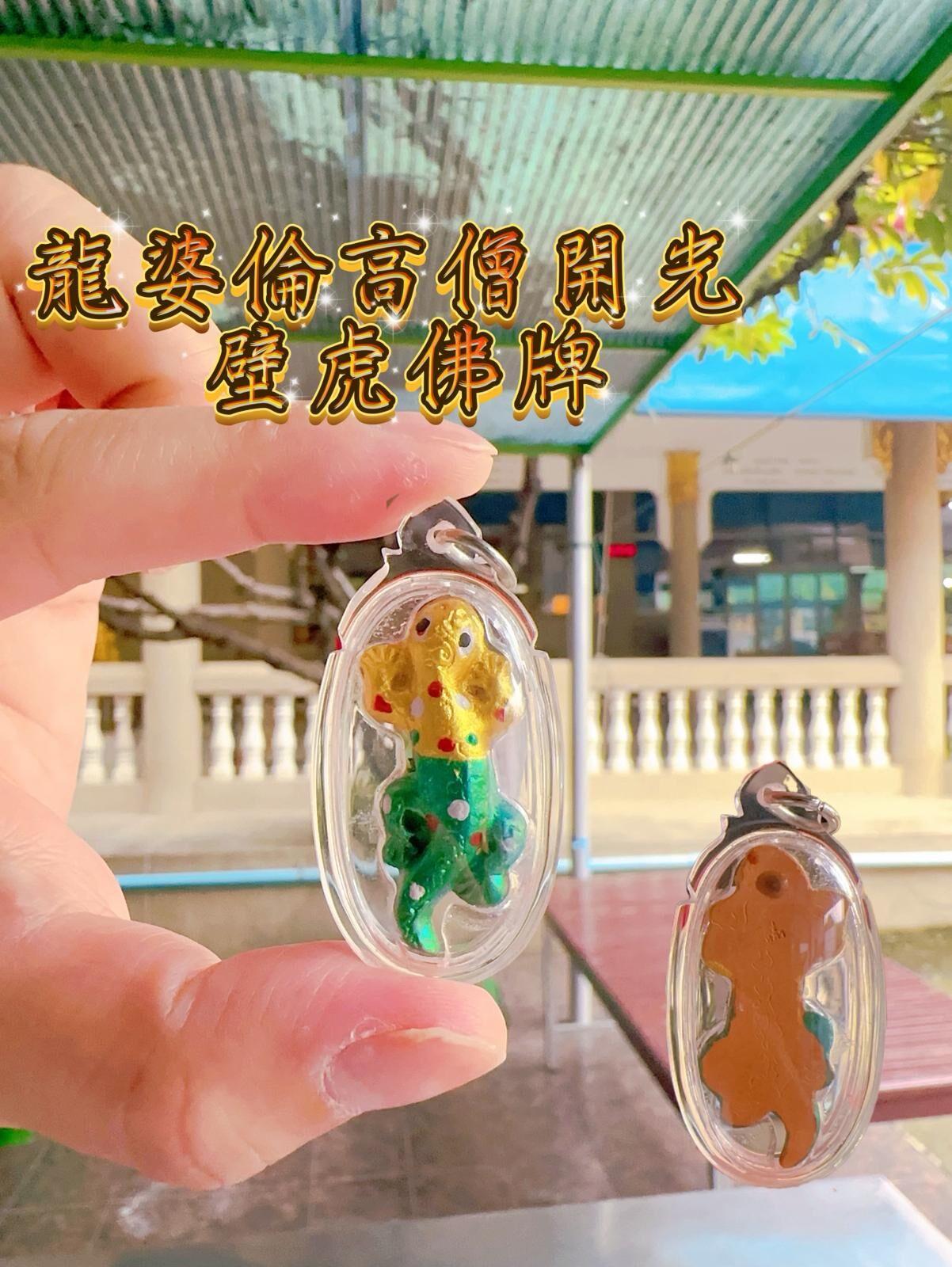 龍婆倫高僧開光 綠財壁虎佛牌 佛曆2565