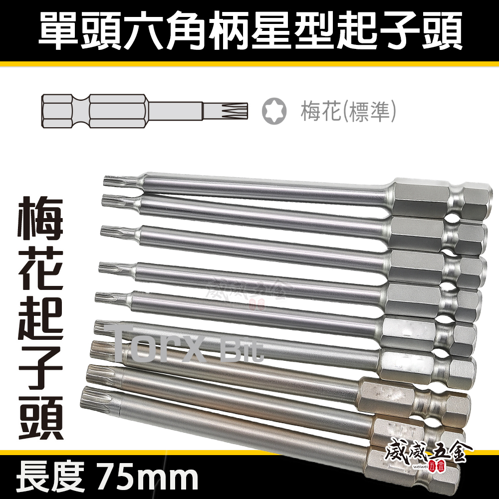 T6-T40 長 75mm 單頭星型起子頭｜車修六角柄內星型起子頭 六角軸星型起子頭 S2材質｜台灣製｜單支