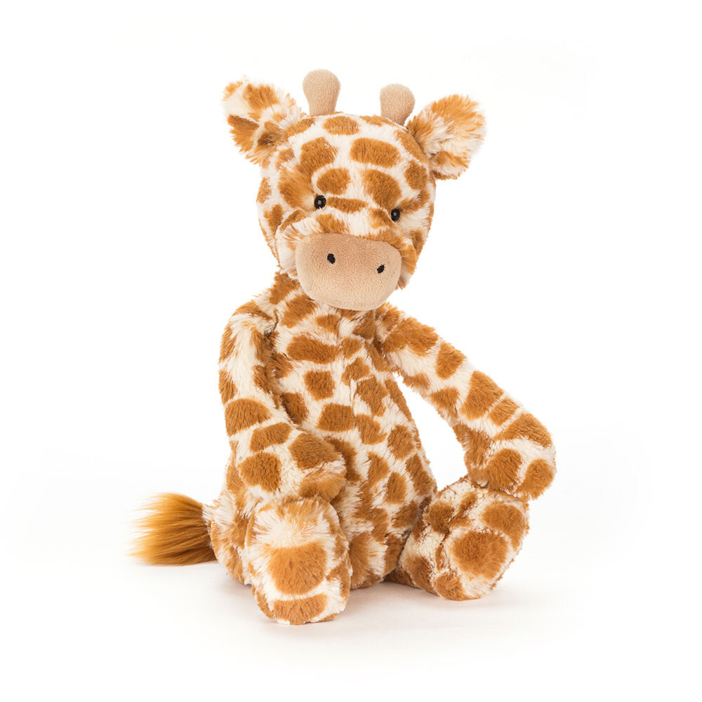 JELLYCAT 長頸鹿 Bashful Giraffe