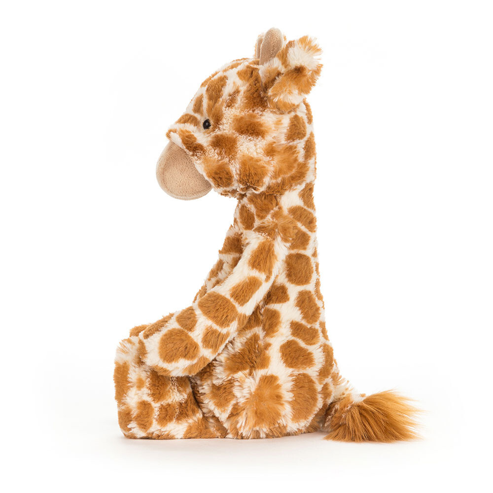 JELLYCAT 長頸鹿 Bashful Giraffe