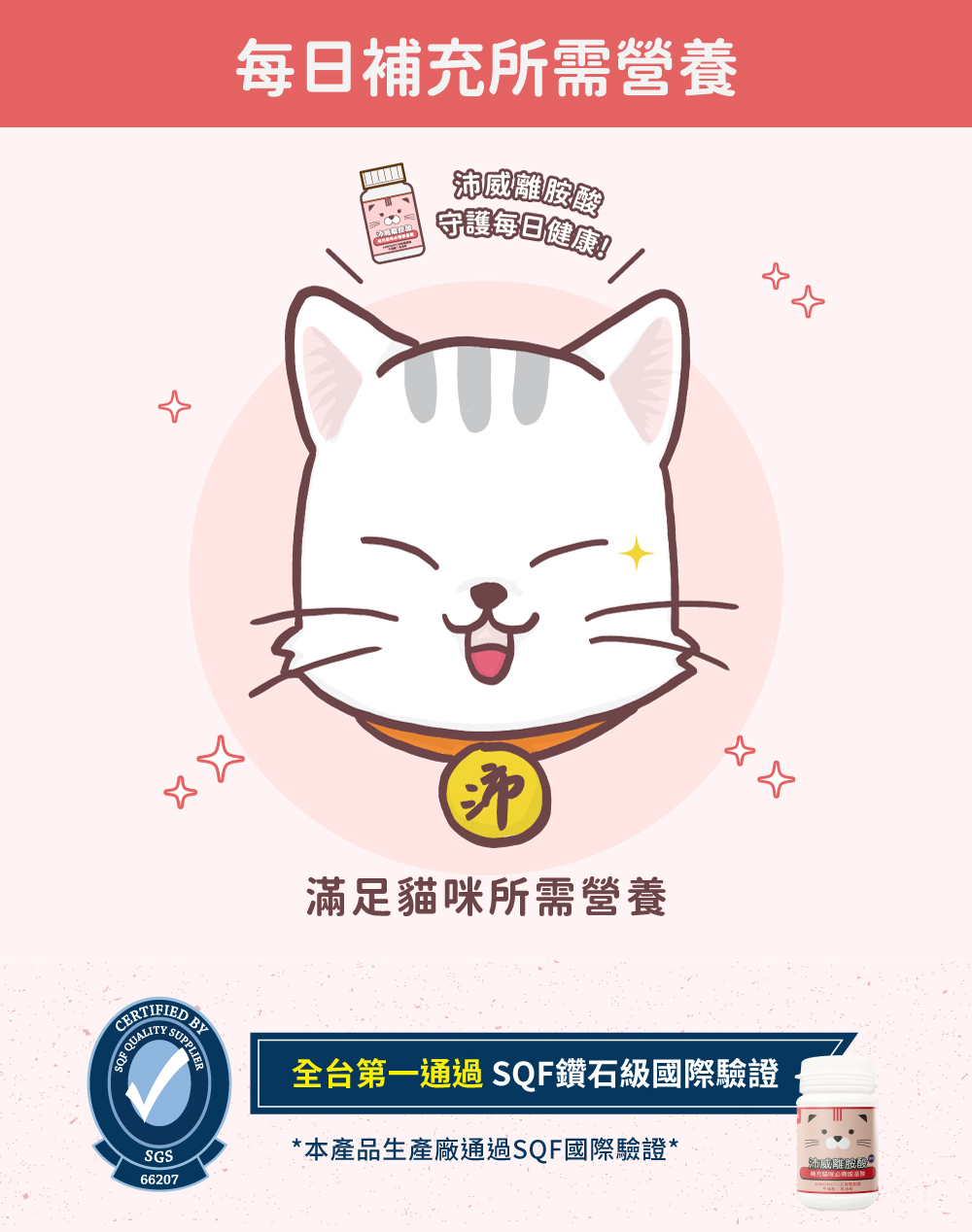 雙11優惠組 益生菌離胺酸潔牙膏$1111