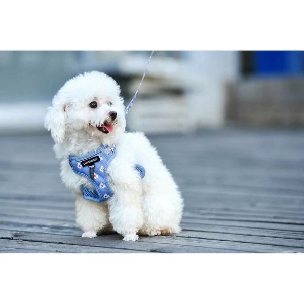 Dogness 小淘氣牽引繩和胸背帶套裝