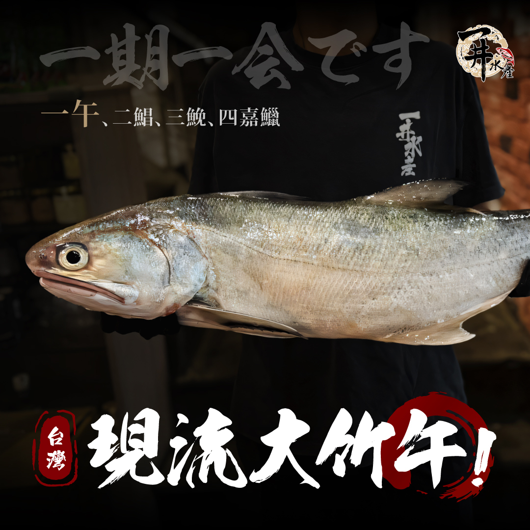 台灣 野生大竹午/午魚