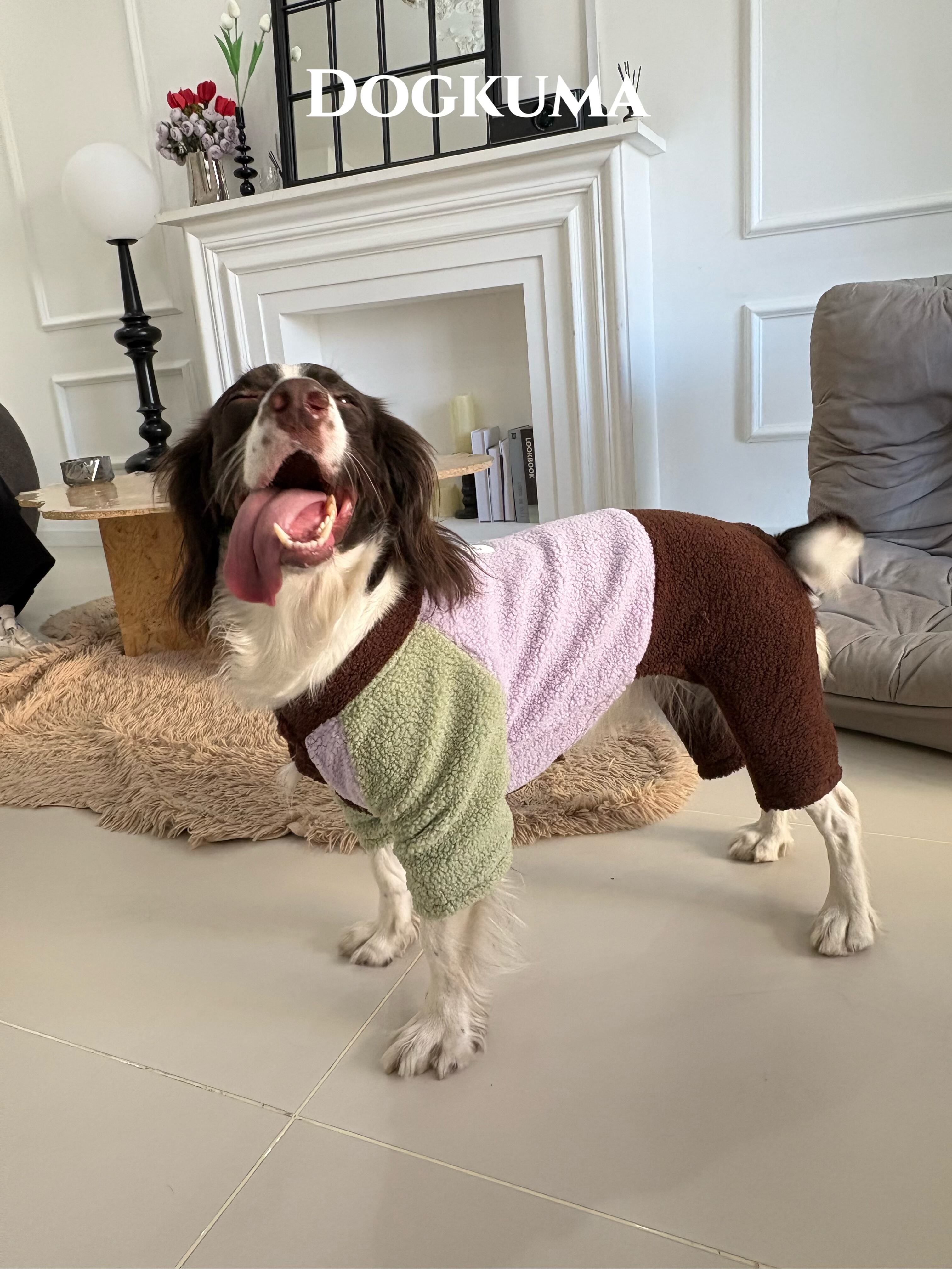 DOGKUMA - 可麗露配色四腳衣（寵物款）『預購』