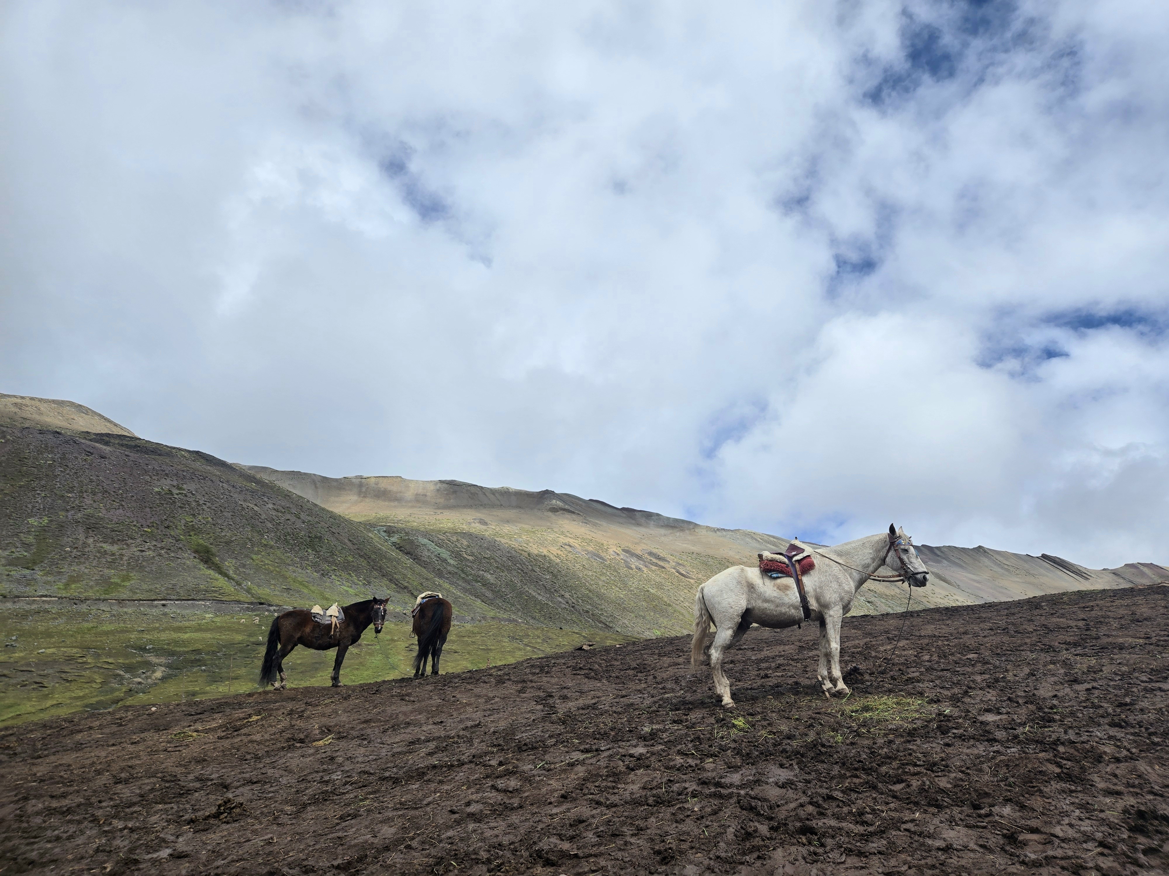 PO-29164（測試 15 個款式）