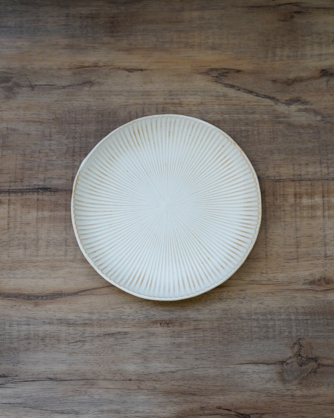 益子燒 SEN 十草圓餐碟 白色｜職人 若林健吾