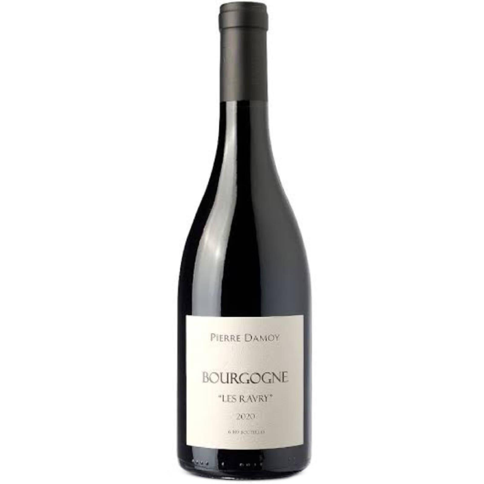 2020 Domaine Pierre Damoy Bourgogne Rouge Les Ravry