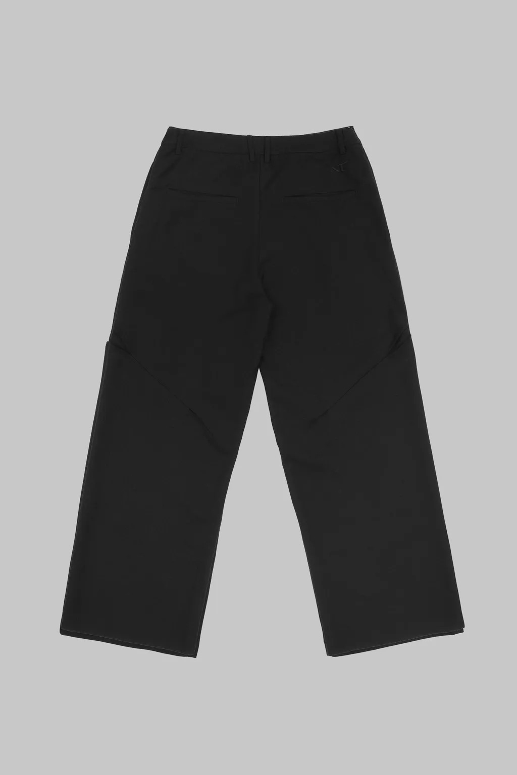ANONYMOUS F25-P08 Pleated Trousers