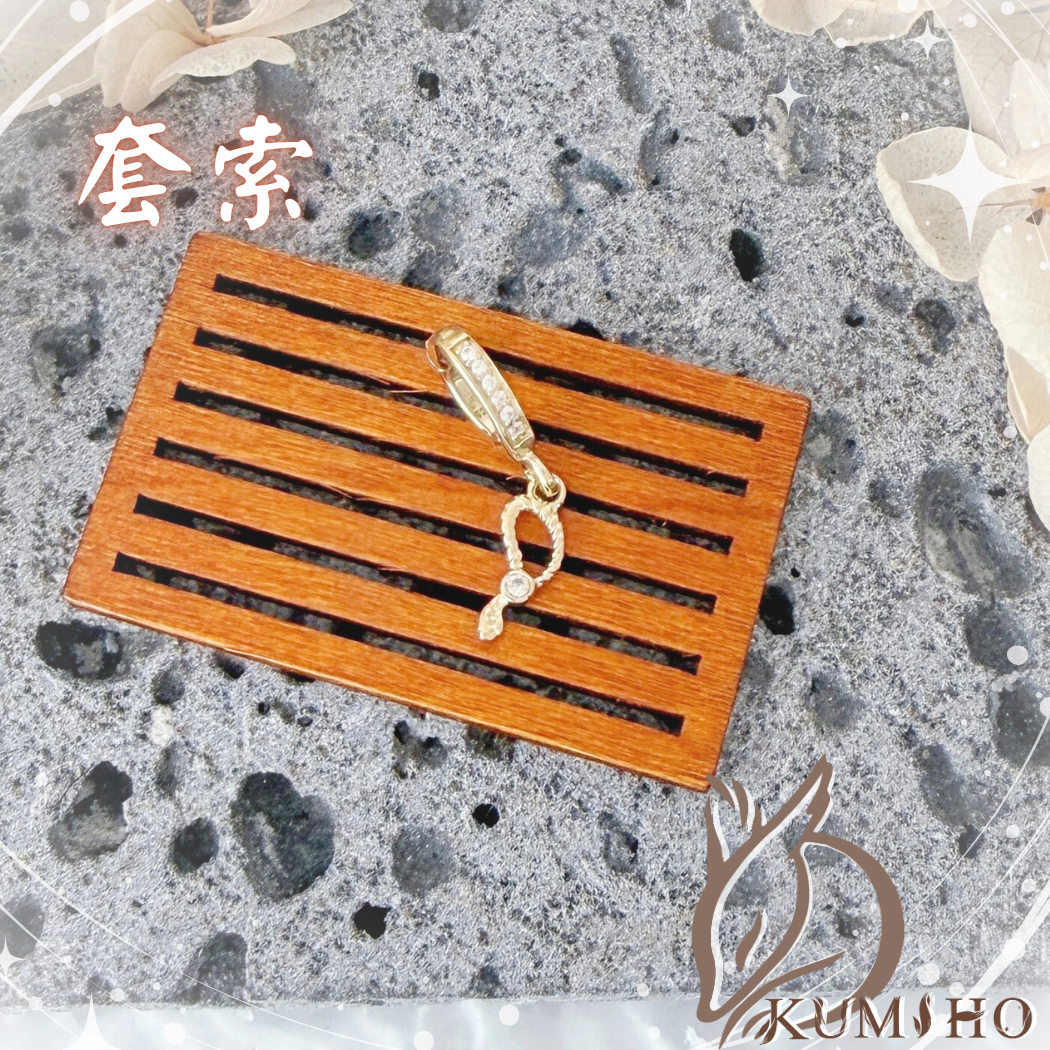 象神的套索，真正能改變命運的，不只是力量，而是方向、專注與牽引。