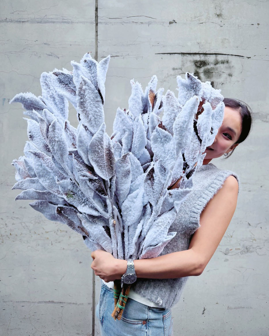 【下雪】玉蘭葉