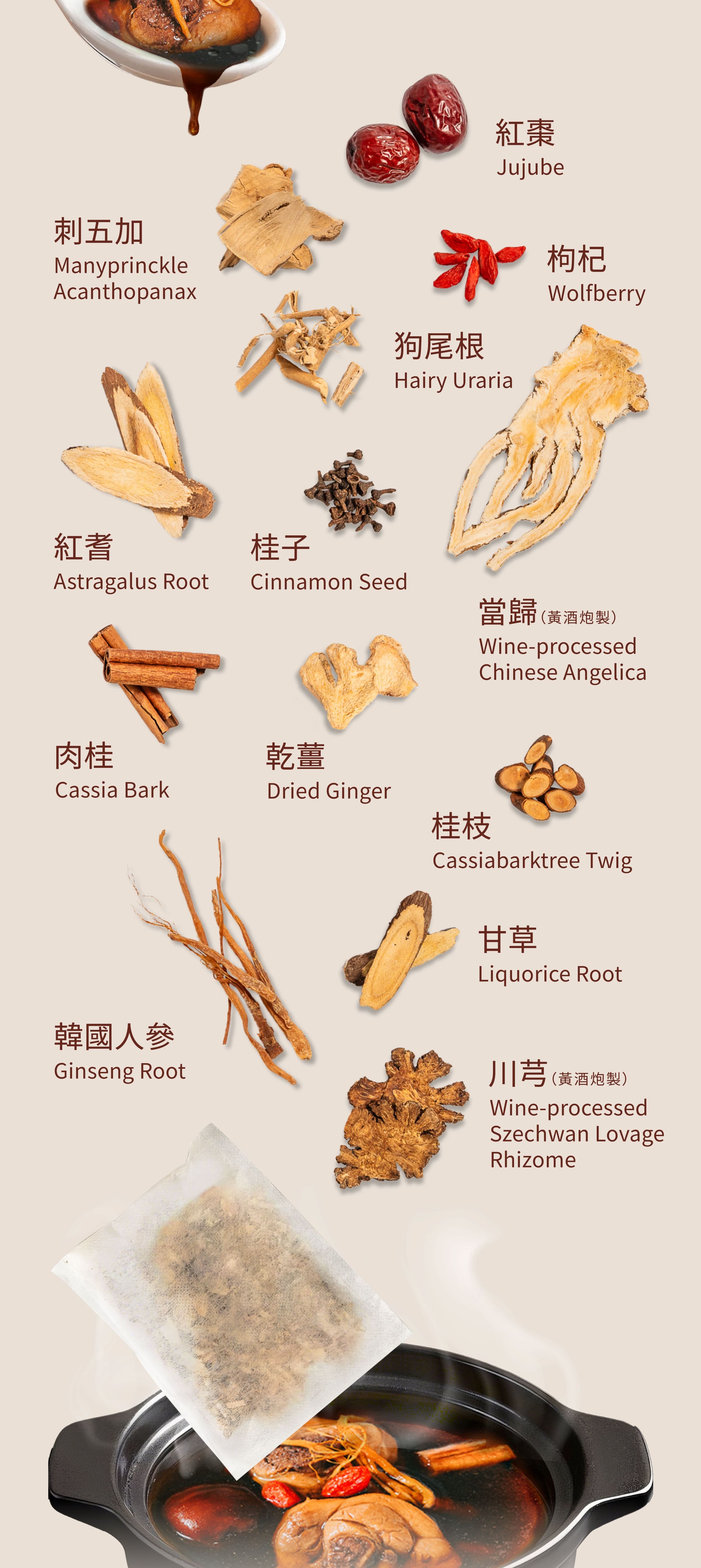 Dengyi 鶏肉用漢方スープキット の材料