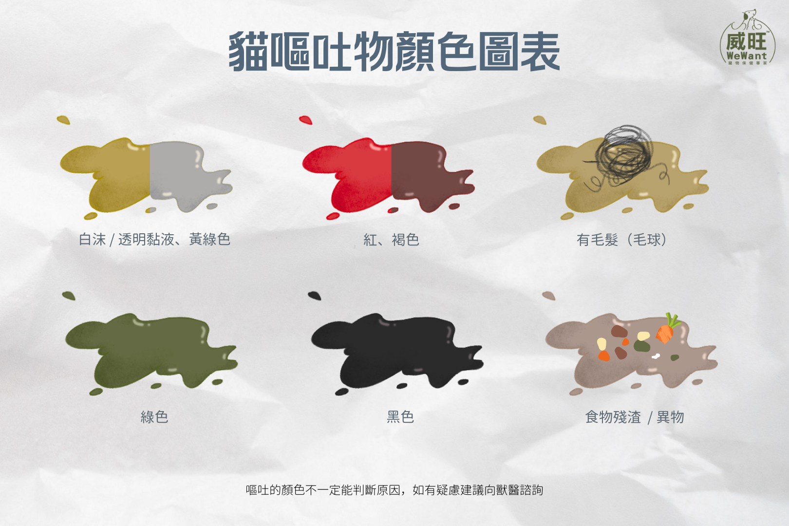貓咪嘔吐顏色與原因