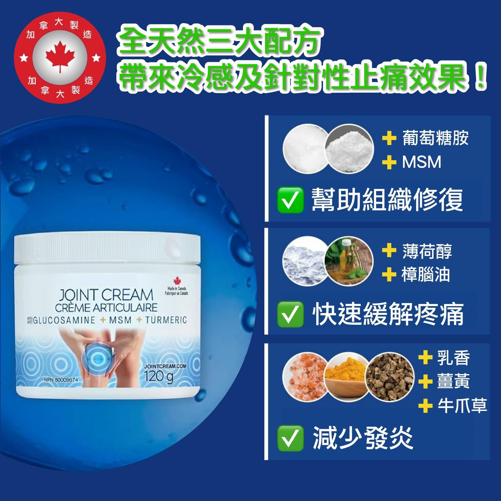 1104WB03-WBC- 鎮蓋之寶 AUTHENTA JOINT CREAM 120G (A3)