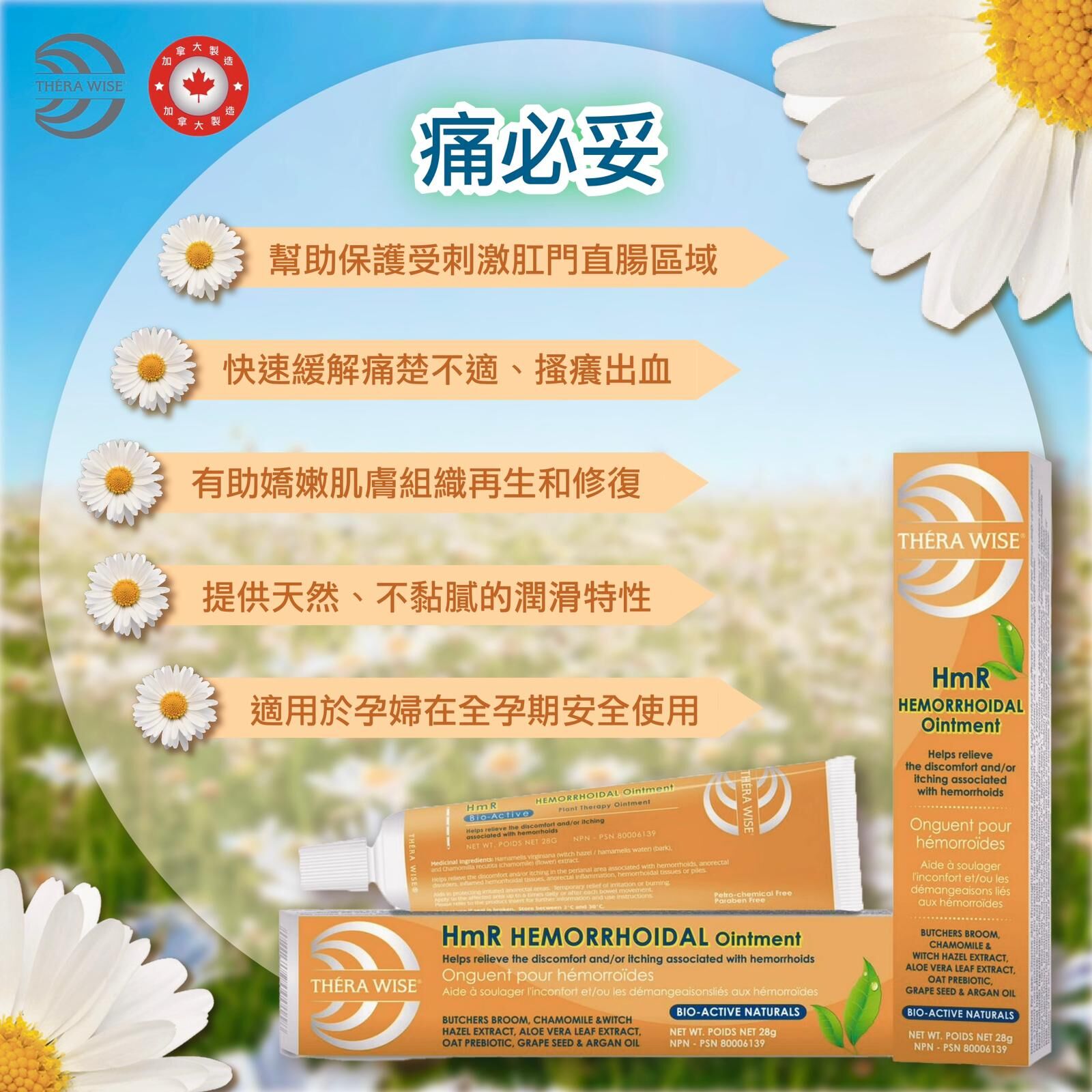 1104WB04-WBC-痛必妥HMR OINTMENT 28G (A4)