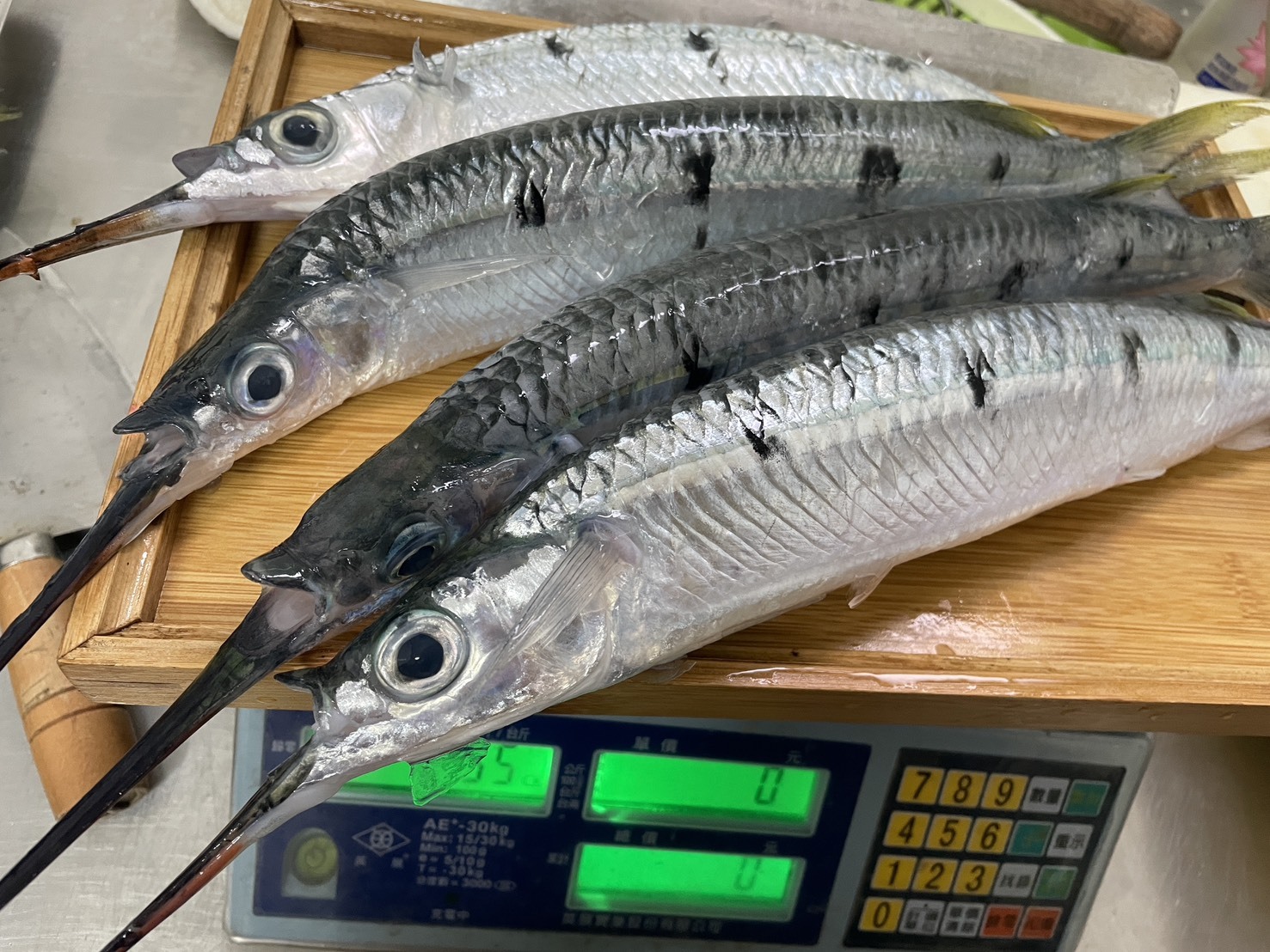 【水針魚】已三去