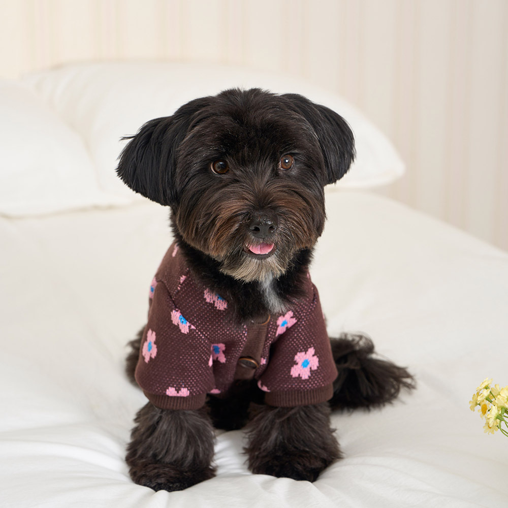 【 韓國連線 】NERDOG｜V領針織衫（雛菊）