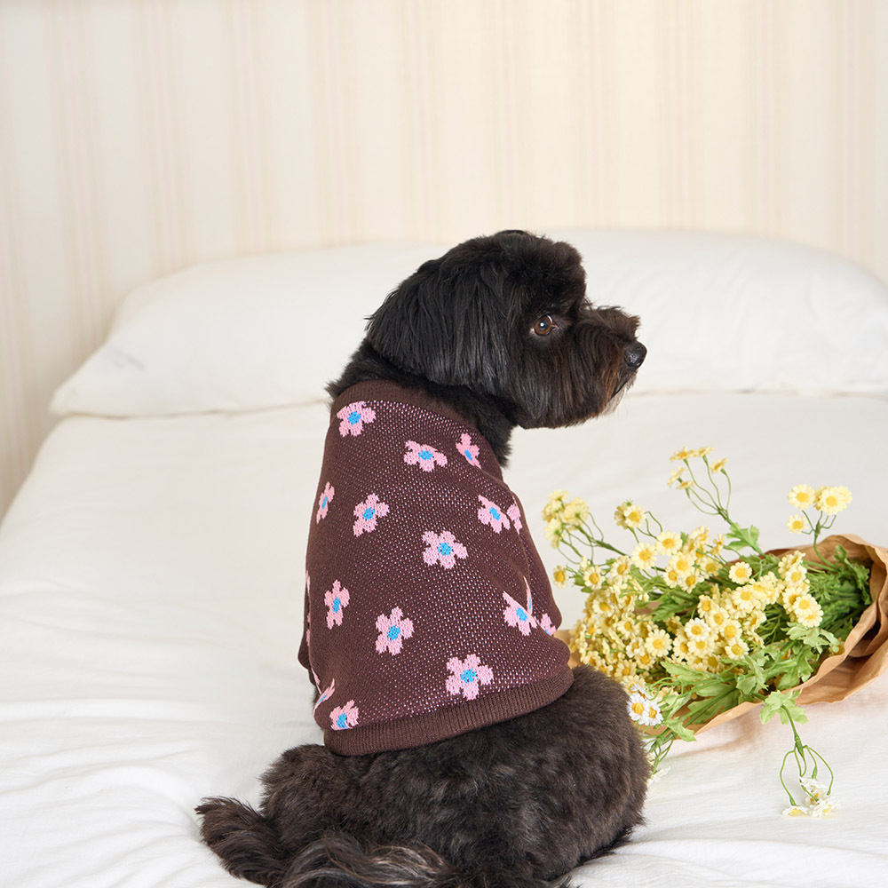 【 韓國連線 】NERDOG｜V領針織衫（雛菊）