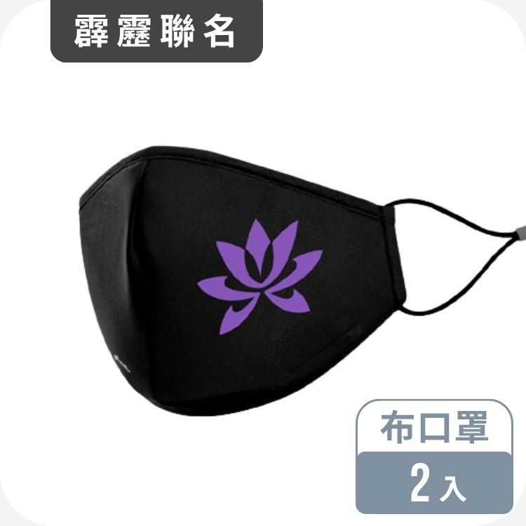 美德醫療X霹靂布袋戲 布口罩 2入─素還真款