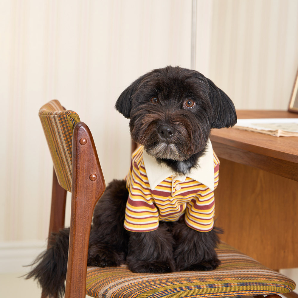 【 韓國連線 】NERDOG｜美式條紋Polo衫 黃色