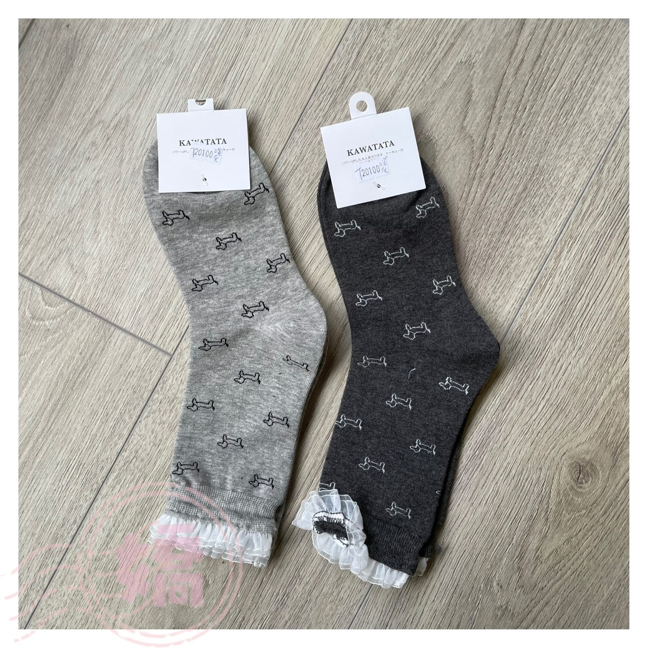 T20100滿版氣球狗蕾絲襪(深灰'淺灰'黑)