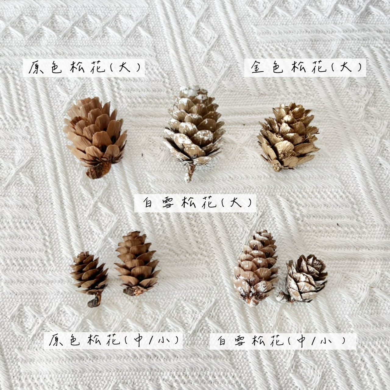 乾燥小松花(白雪/原色/金色)