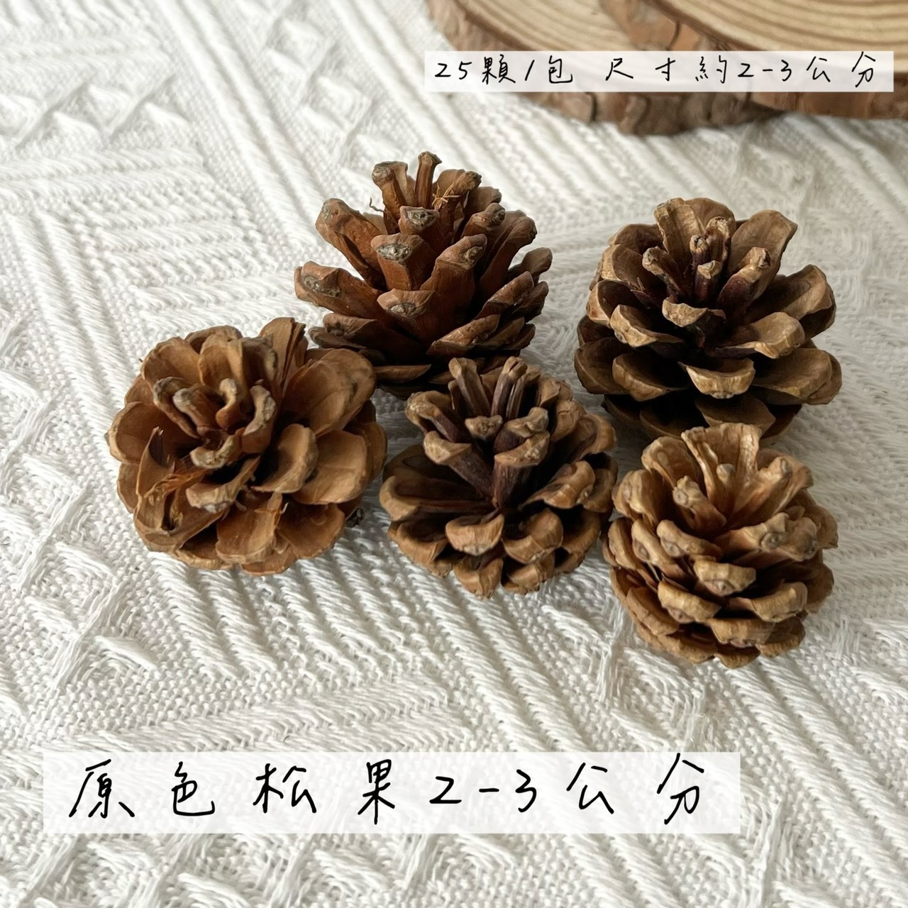 原色松果2-3公分 (包)