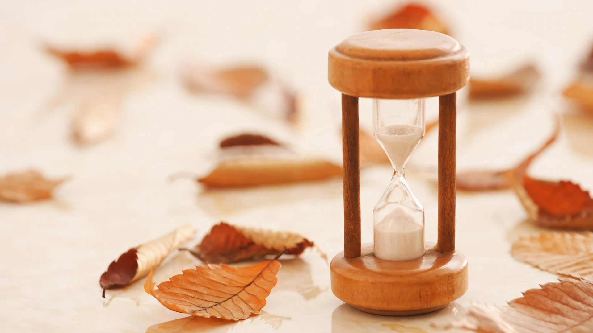 立秋,中藥雞湯,髮色,穿搭,進補,雞湯,二十四節氣,