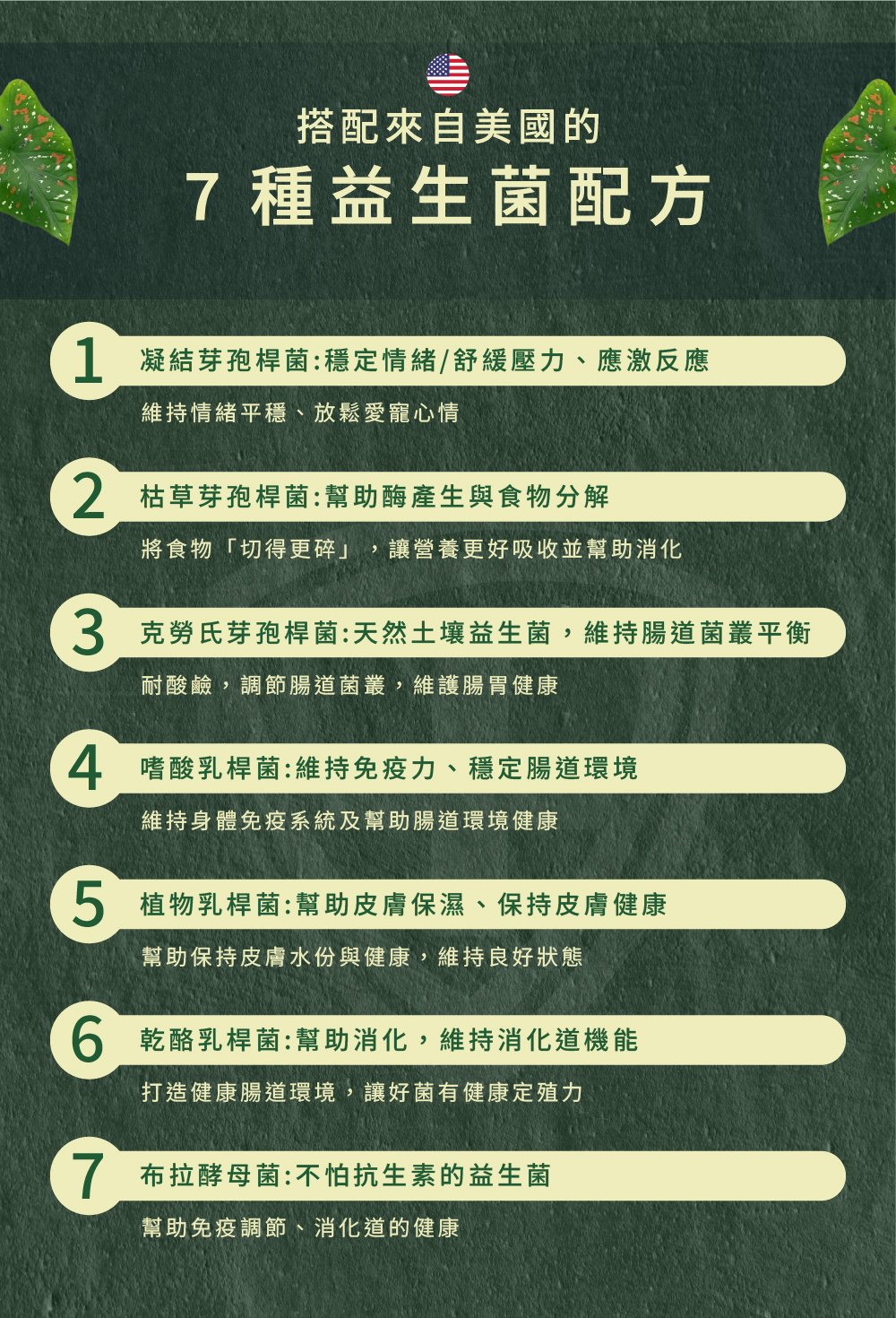 威旺WeWant 龜用益生菌＋益生元-超能7菌30g，七大益生菌配方介紹和功效